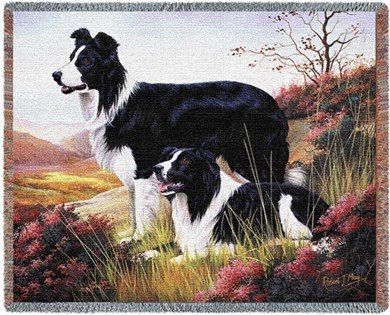 Raining Cats and Dogs | Border Collie Throw Blanket, Woven in the USA