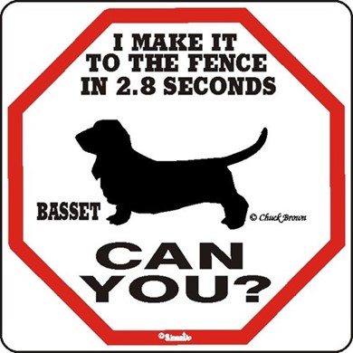 Raining Cats and Dogs | Basset Hound Make It to the Fence in 2.8 Seconds Sign