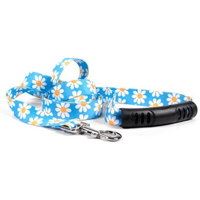 Raining Cats and Dogs | Blue Daisy Easy Grip Lead