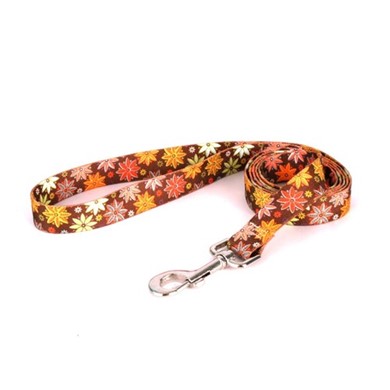 Raining Cats and Dogs | Autumn Flowers Leash