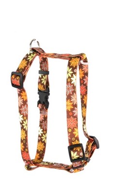 Raining Cats and Dogs | Autumn Flowers Harness