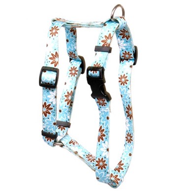 Raining Cats and Dogs | Daisy Chain Harness