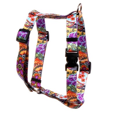 Raining Cats and Dogs | Amazon Floral Harness
