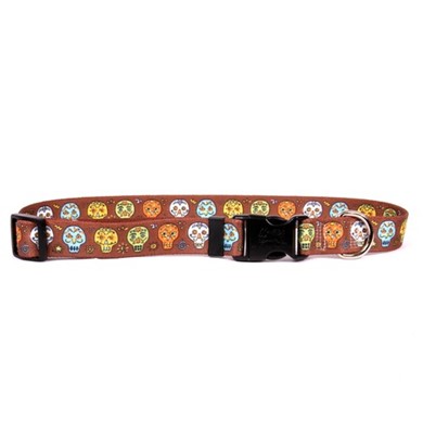 Raining Cats and Dogs | Candy Skulls Collar