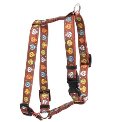 Raining Cats and Dogs | Candy Skulls Harness