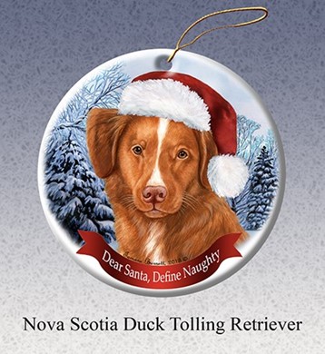 Raining Cats and Dogs | Nova Scotia Duck Dear Santa Dog Christmas Ornament