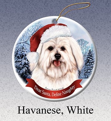 Raining Cats and Dogs | Havanese Dear Santa Dog Christmas Ornament