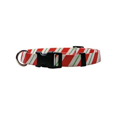 Raining Cats and Dogs | Peppermint Stick Collar