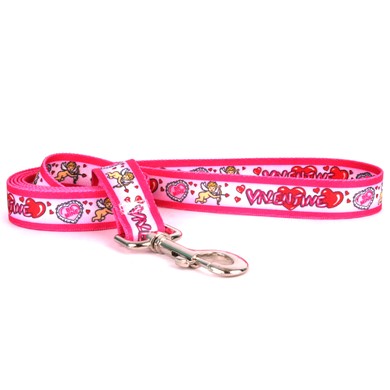 Raining Cats and Dogs |Be My Valentine Leash, Made in the USA