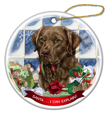 Raining Cats and Dogs | Santa I Can Explain Chesapeake Bay Retriever Dog Christmas Ornament