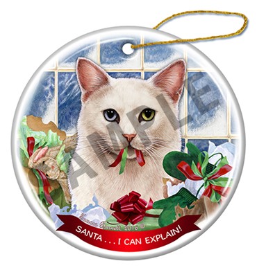 Raining Cats and Dogs | White Odd Eyed Cat Santa I Can Explain Christmas Ornament