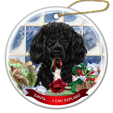 Raining Cats and Dogs | Santa I Can Explain Portuguese Water Dog Christmas Ornament