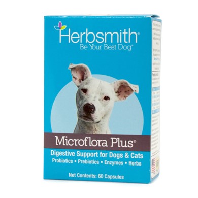 Raining Cats and Dogs | Herbsmith Microflora Plus Digestive Support