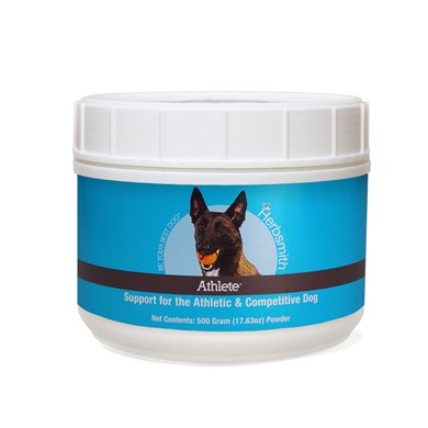 Raining Cats and Dogs | Herbsmith Athlete Support for Athletic Dogs