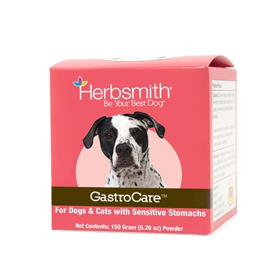 Raining Cats and Dogs | Herbsmith GastroCare digestive care