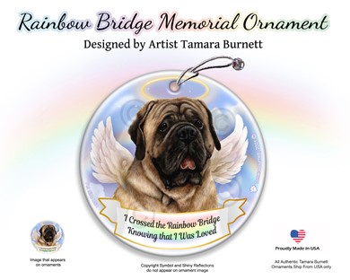 Raining Cats and Dogs | Mastiff Rainbow Bridge Memorial Ornament