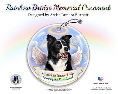 Raining Cats and Dogs | Border Collie Rainbow Bridge Memorial Ornament