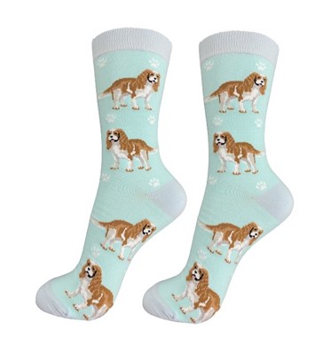 Raining Cats and Dogs |Cavalier King Charles Happy Tails Socks