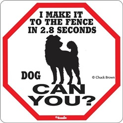 Dog Make It to the Fence Sign, the Perfect Beware of Dog Sign