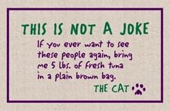 Not a Joke Cat Mat