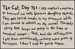 Cat Day 751 Mat