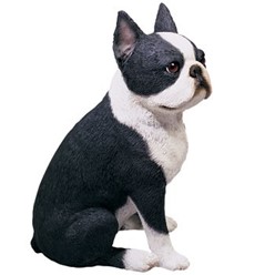 Boston Terrier Sandicast Original Figurine