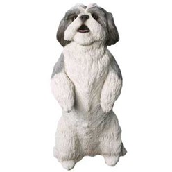 Shih Tzu Sandicast Life Size Figurine