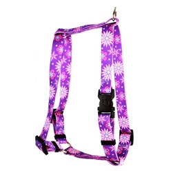 Flowers Harness