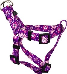 Flowers Step-In Harness