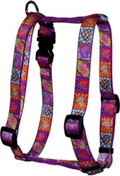 Crazy Hearts Harness