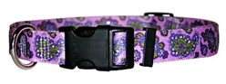Paisley Collar