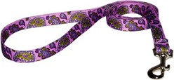 Paisley Leash