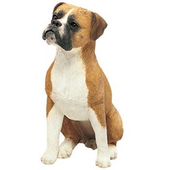 Boxer Uncropped Sandicast Original Figurine