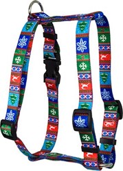 Alpine Christmas Harness