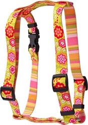 Green Bouquet Harness