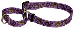 Paisley Martingale Collar