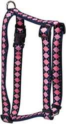 Argyle Harness
