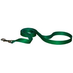 Solid Leash- click for more colors