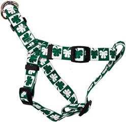 Shamrock Step-In Harness, the Perfect St. Patrick's Day Harness