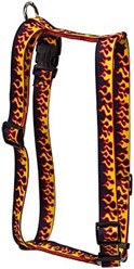 Red Flames Harness
