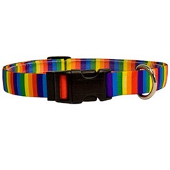 Rainbow Stripes Collar