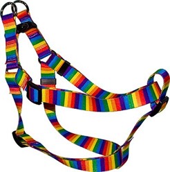 Rainbow Stripes Step-In Harness
