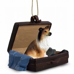 Collie Traveling Companion
