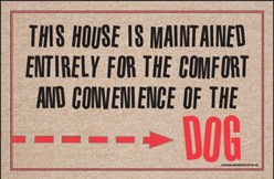 House Maintained for Comfort of the Dog Mat