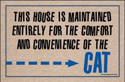 House Maintained for Comfort of the Cat Mat