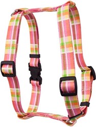 Madras Harness