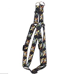 Longboard Skulls Step-In Harness