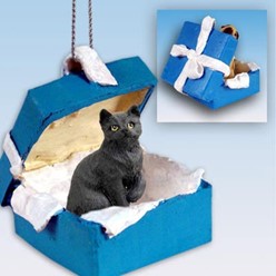 Black Cat Gift Box Holiday Ornament