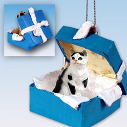 Black and White Cat Gift Box Holiday Ornament