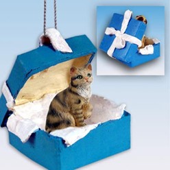 Brown Tabby Cat Gift Box Holiday Ornament
